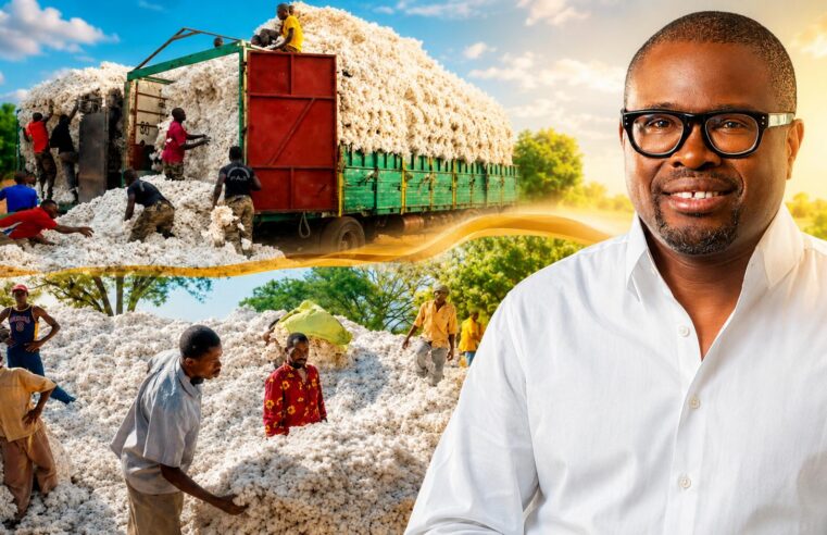 Benin links cotton bonus to national production target for 2026-2027