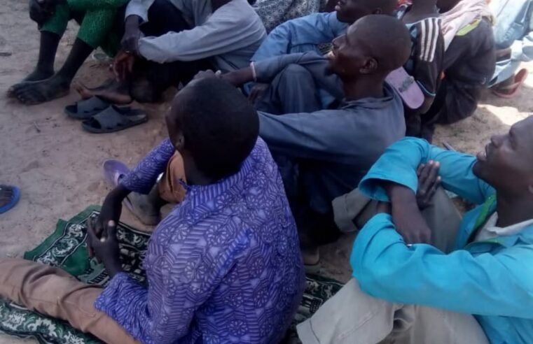 Boko Haram frees 35 fishermen in Far North Cameroon after ransom payment