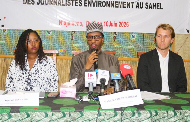 N’Djamena hosts Sahel workshop to boost legal safety for environmental journalists