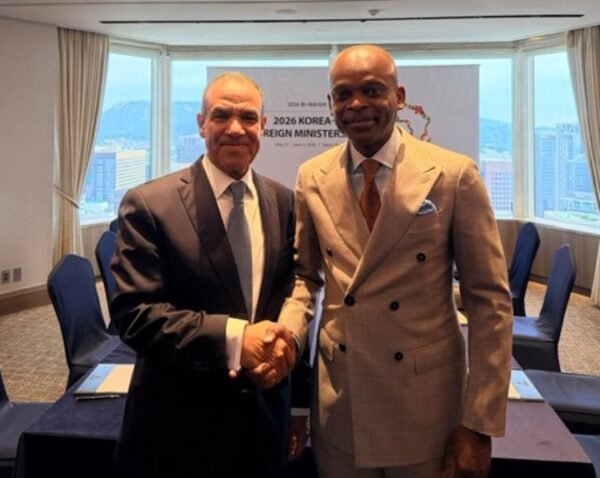 Togo and Egypt deepen economic and security ties at Seoul summit