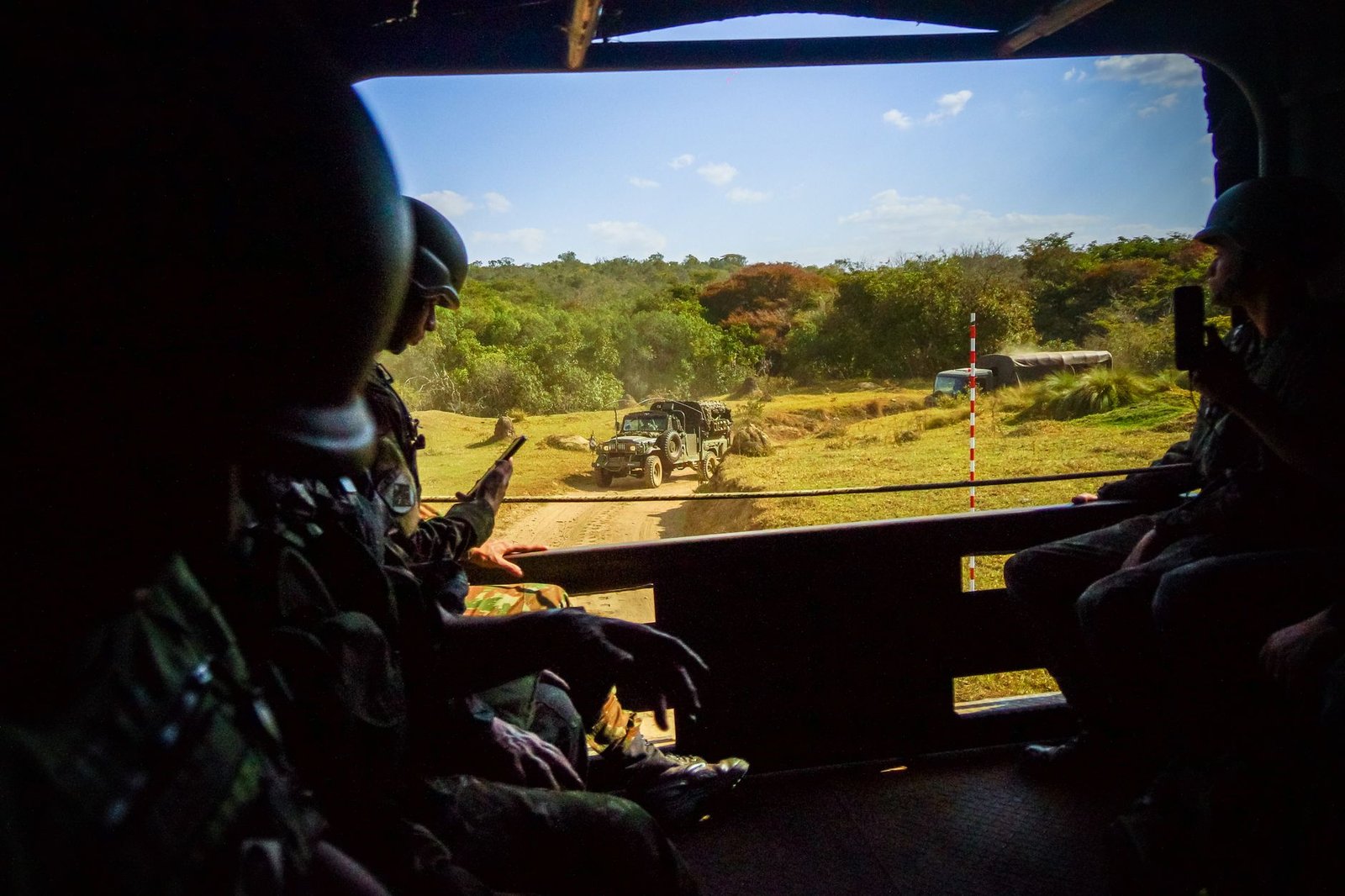 Mali restricts 40 forests to civilians in fight against militants