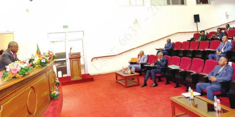 Cameroun’s 2027-2029 budget priorities set in cabinet meeting
