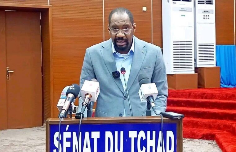 Tchad faces rising intercommunal violence: security minister urges unified action