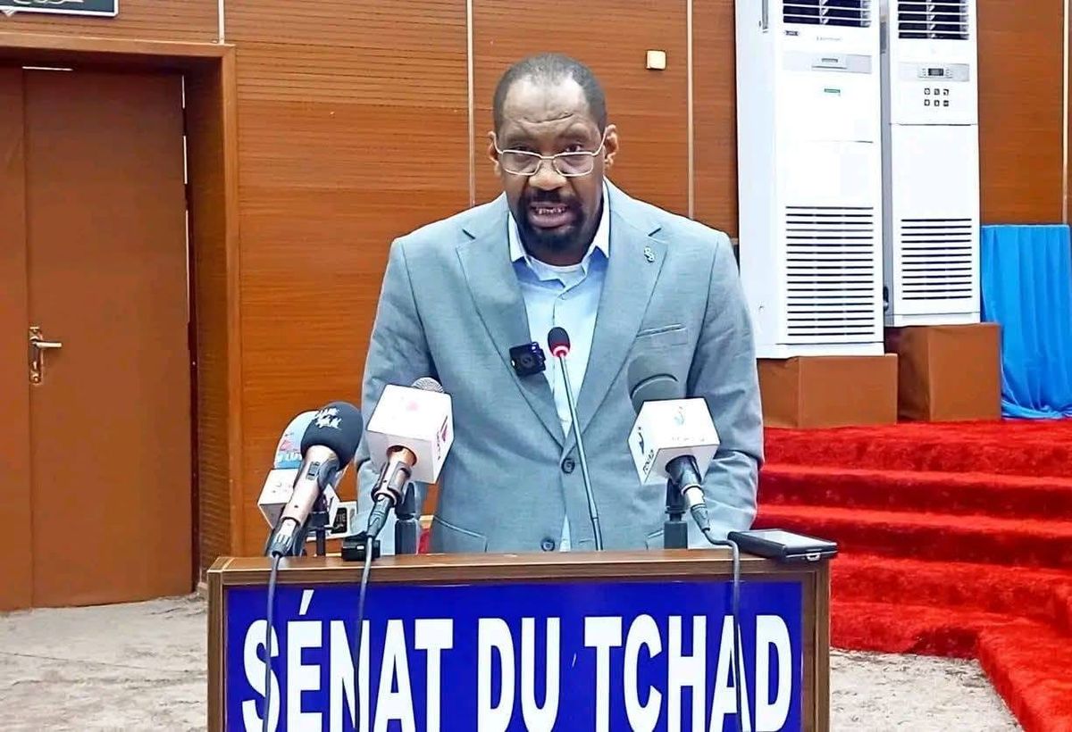Tchad faces rising intercommunal violence: security minister urges unified action