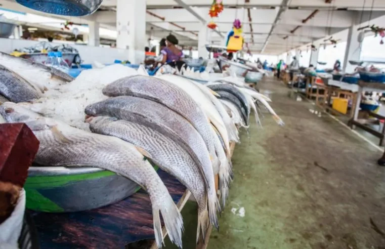 Gabon ends long-standing fisheries partnership with the european union