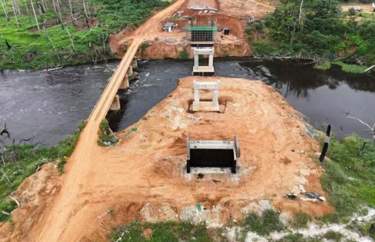 Désenclavement du Sud : les travaux du pont sur le Dja avancent à grande vitesse