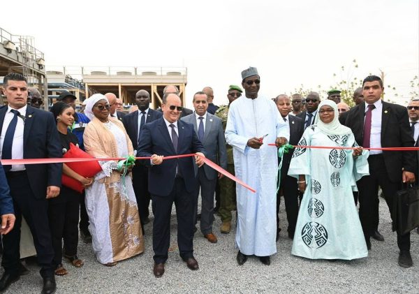 Algeria powers Niamey with 40 MW energy boost in strategic Sahel deal
