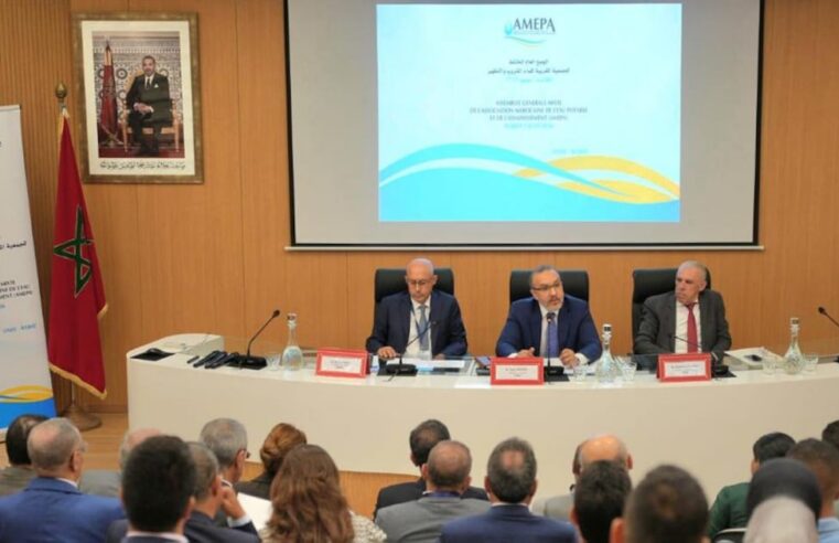 Tarik Hamane elected to lead AMEPA for a four-year term