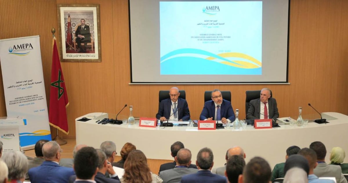 Tarik Hamane elected to lead AMEPA for a four-year term
