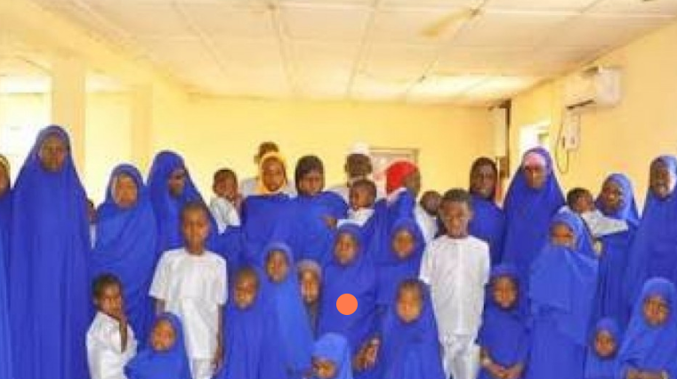 Nigerian forces rescue 47 captives from ISWAP in major Borno operation