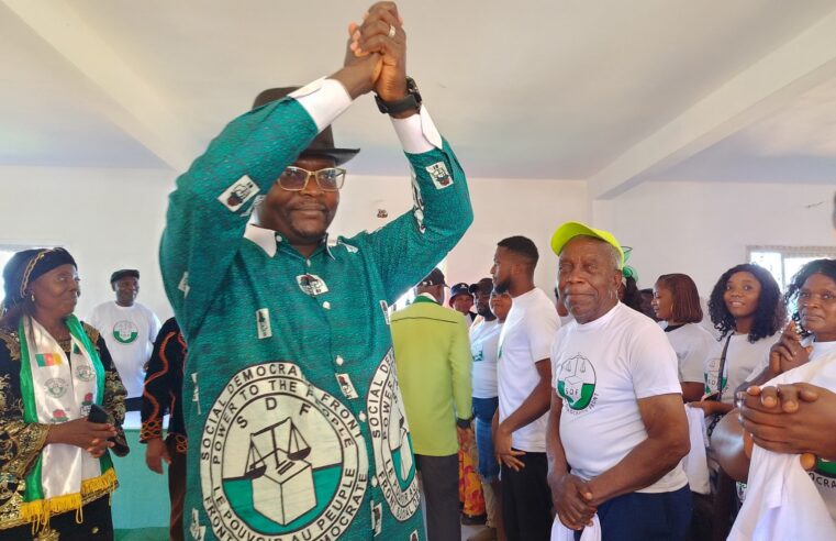 Cameroon sdf names economist as election preparation chief