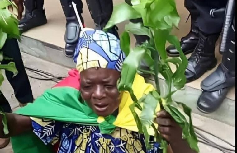 Cameroon mourns ‘maman kamto’, a steadfast mrc activist