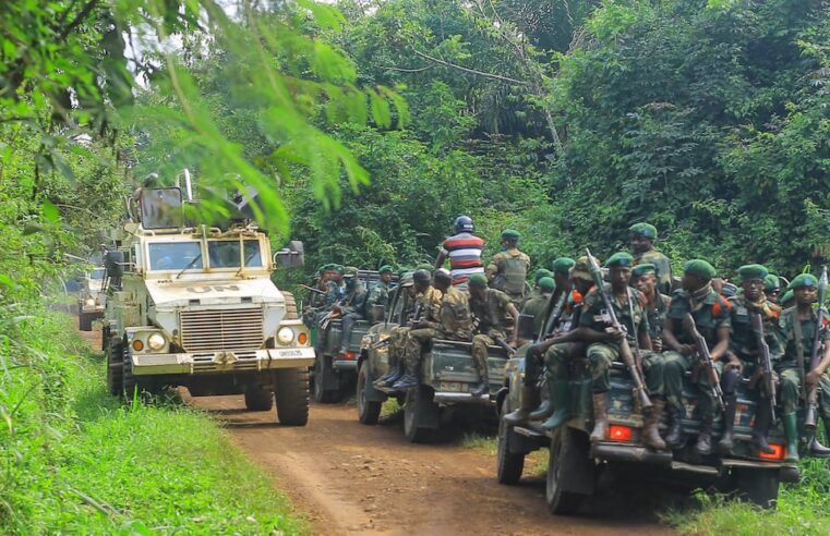 AdF rebels responsible for over 300 deaths in eastern drc this year