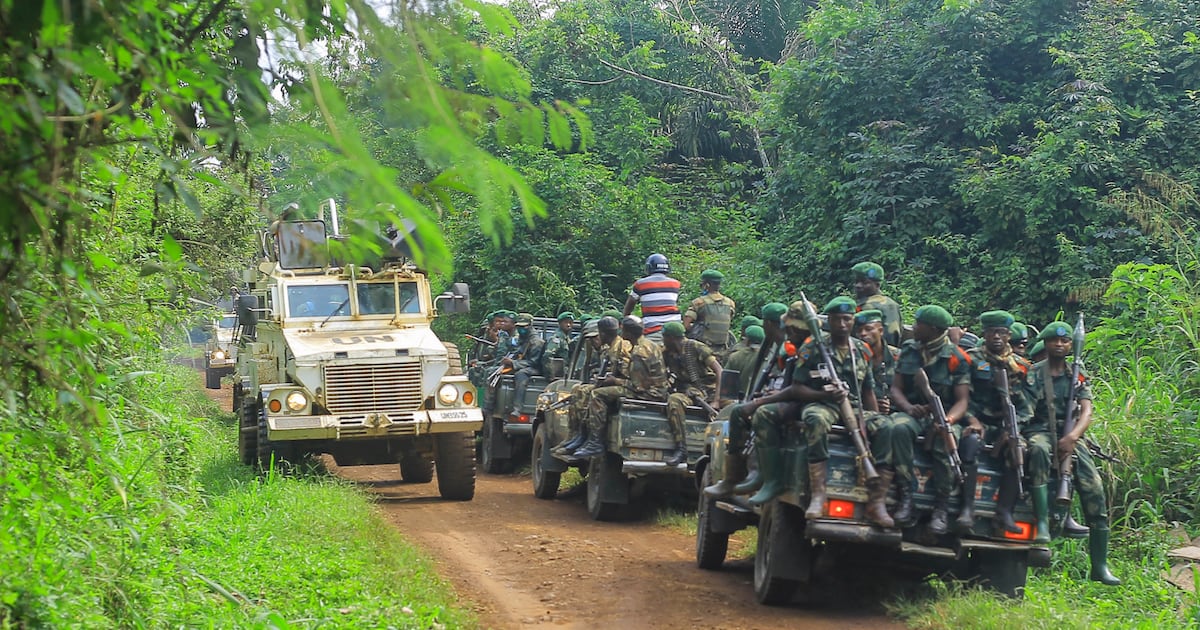 AdF rebels responsible for over 300 deaths in eastern drc this year