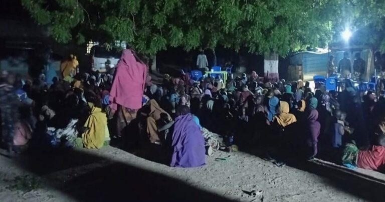 Hundreds of nigerians freed from boko haram captivity in borno state