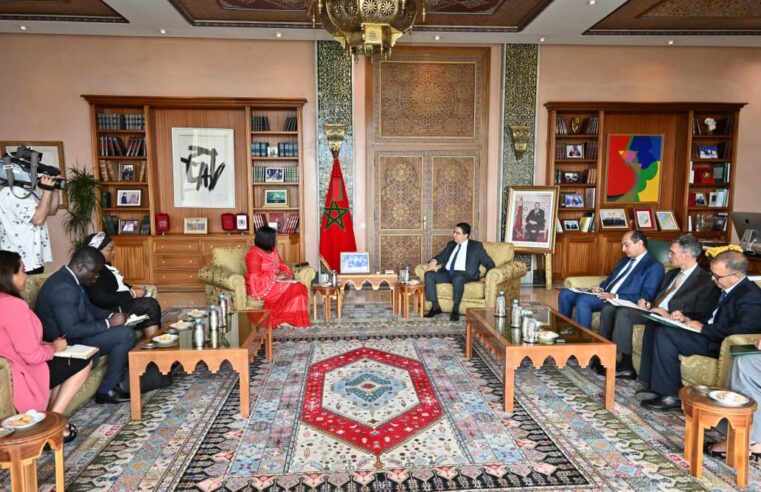 Au leadership of Morocco’s King, African Union official praises economic strides