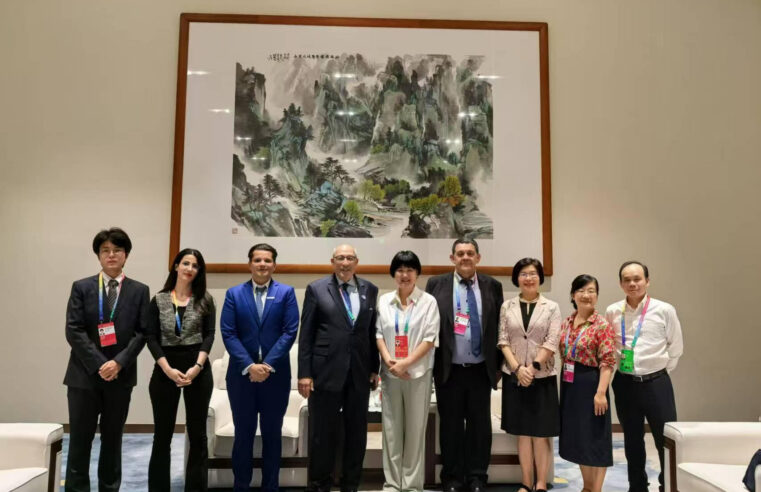 Morocco and China forge ahead with strategic industrial alliance
