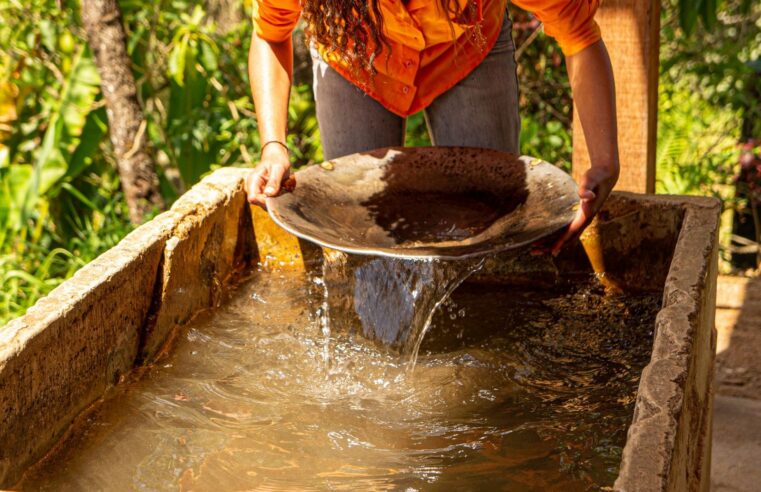 Sonamines tightens oversight of gold miners in Cameroon