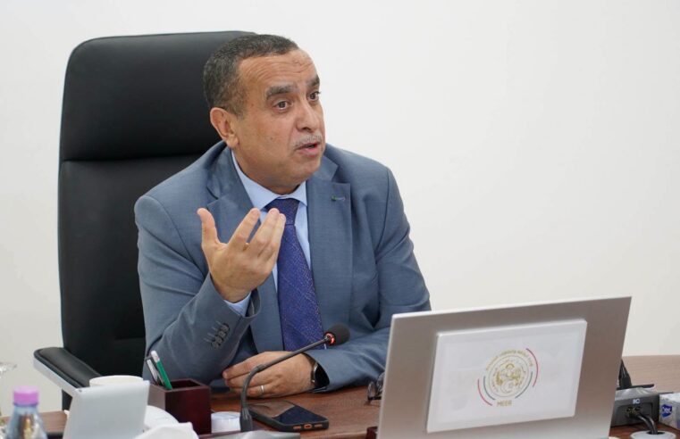 Adjal unveils new 40 mw power plant project in N’Djamena