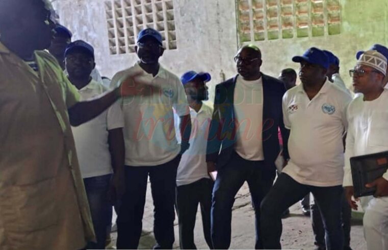 Cacao camerounais : 35 vérificateurs formés pour renforcer la qualité des exportations