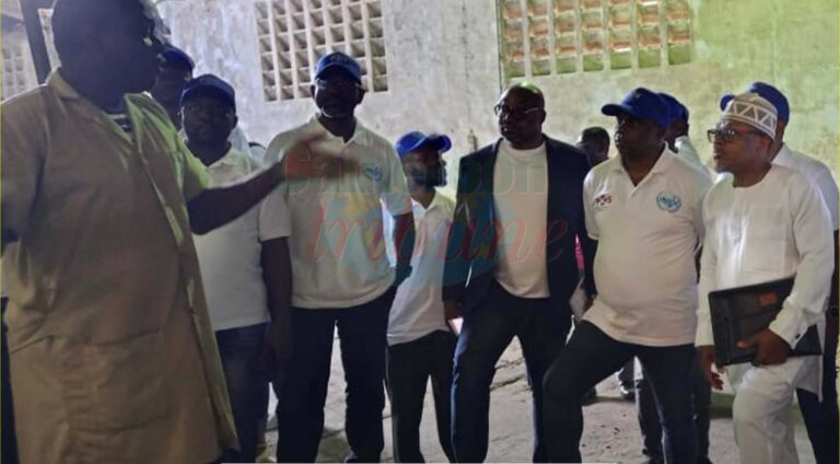Cacao camerounais : 35 vérificateurs formés pour renforcer la qualité des exportations