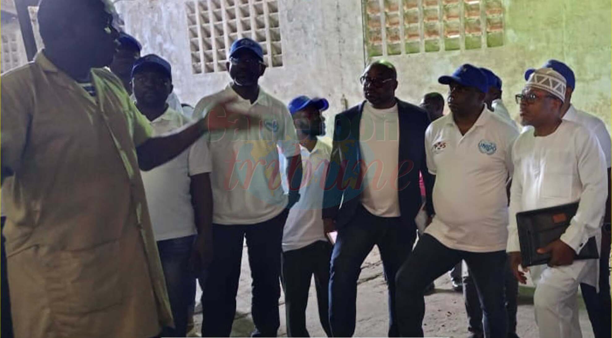 Cacao camerounais : 35 vérificateurs formés pour renforcer la qualité des exportations