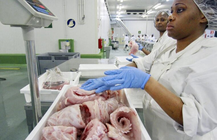 Gabon terminates fishing accord with the European Union