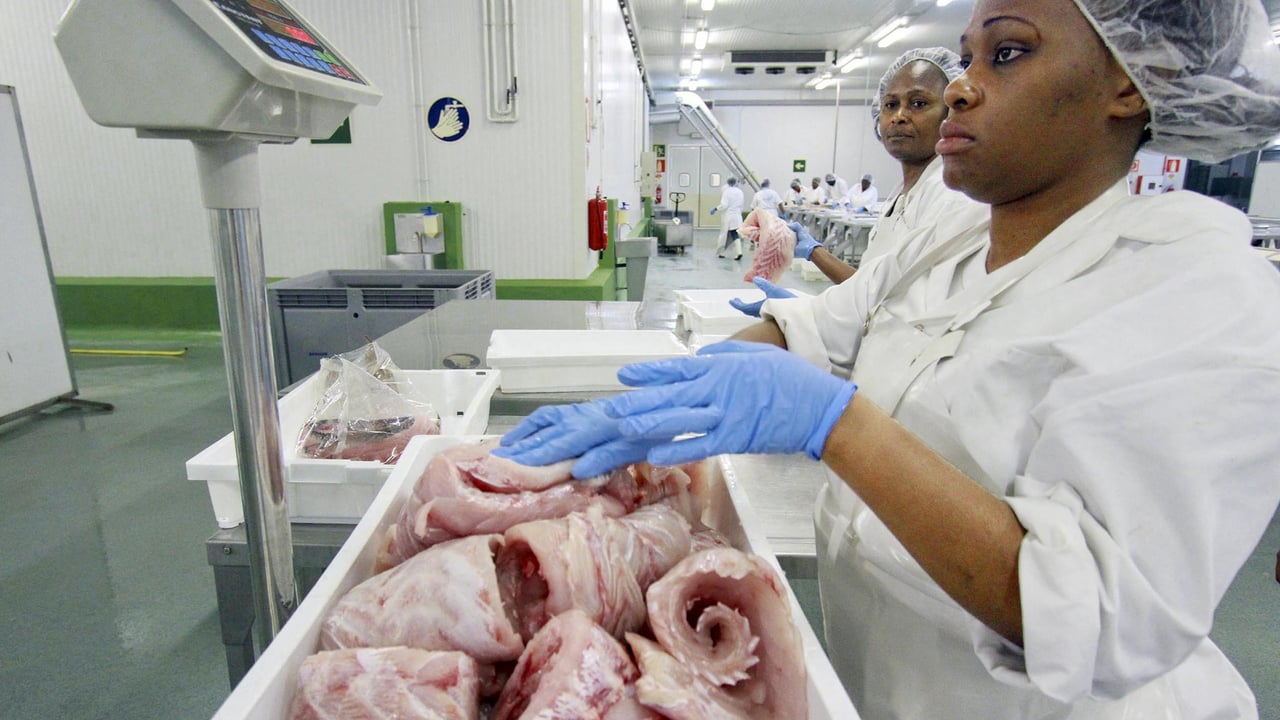 Gabon terminates fishing accord with the European Union