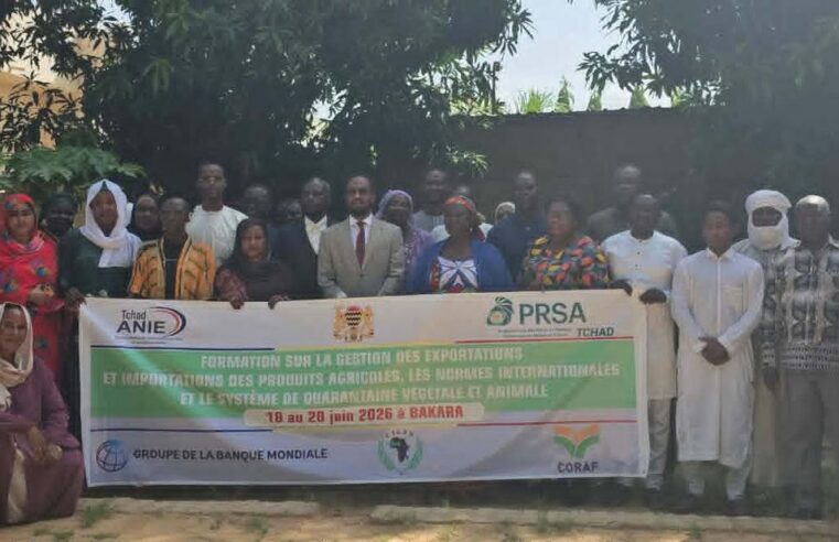 Chad boosts agricultural trade skills to conquer international markets