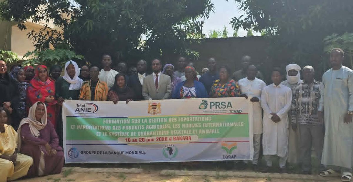 Chad boosts agricultural trade skills to conquer international markets
