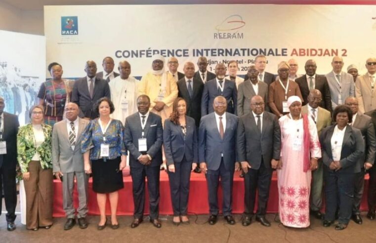 Gabon advances digital regulation talks with Meta amid social media suspension