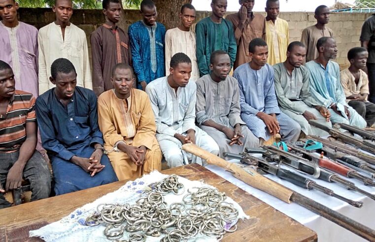 Nigeria reintegrates nearly 10,000 former Boko Haram fighters in Borno state