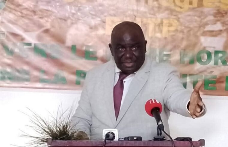 Gabon’s democratic test: political reform meets administrative hurdles
