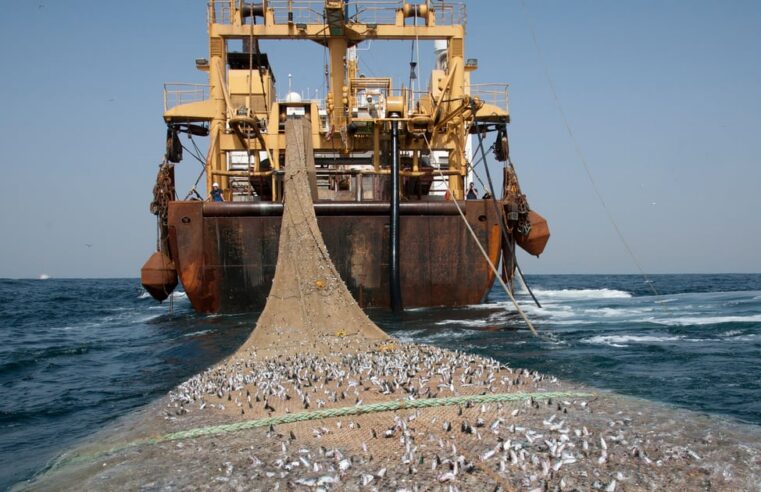 Gabon ends EU fishing deal amid unequal terms
