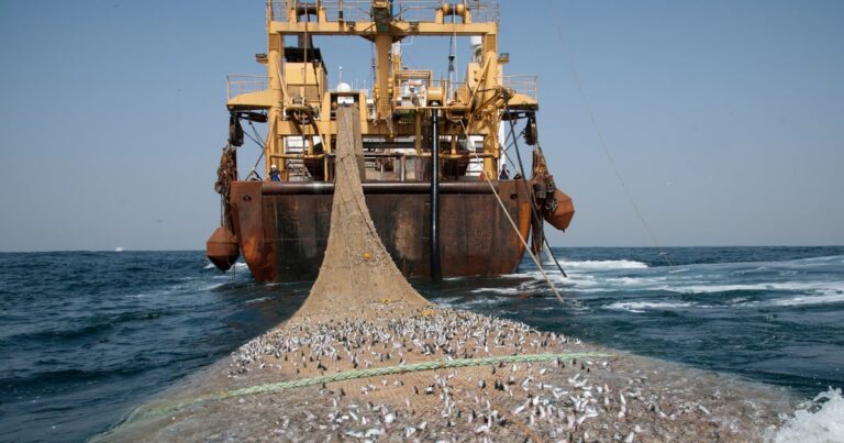 Gabon ends EU fishing deal amid unequal terms
