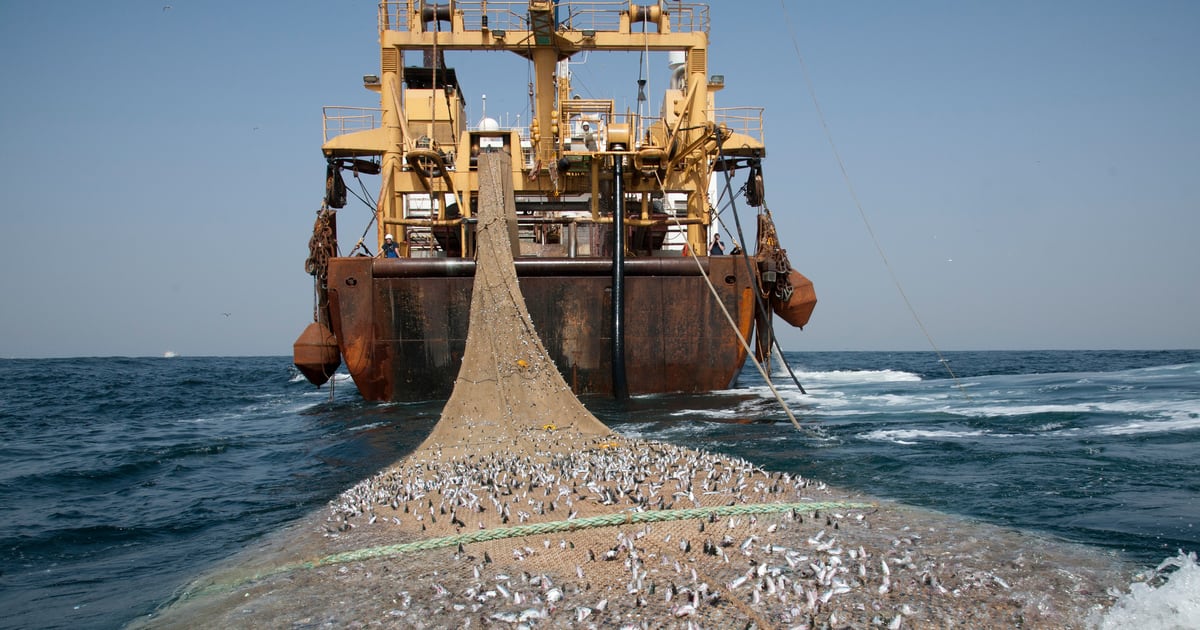 Gabon ends EU fishing deal amid unequal terms