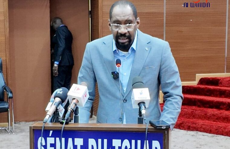 Chad’s security minister addresses senators on persistent insecurity challenges