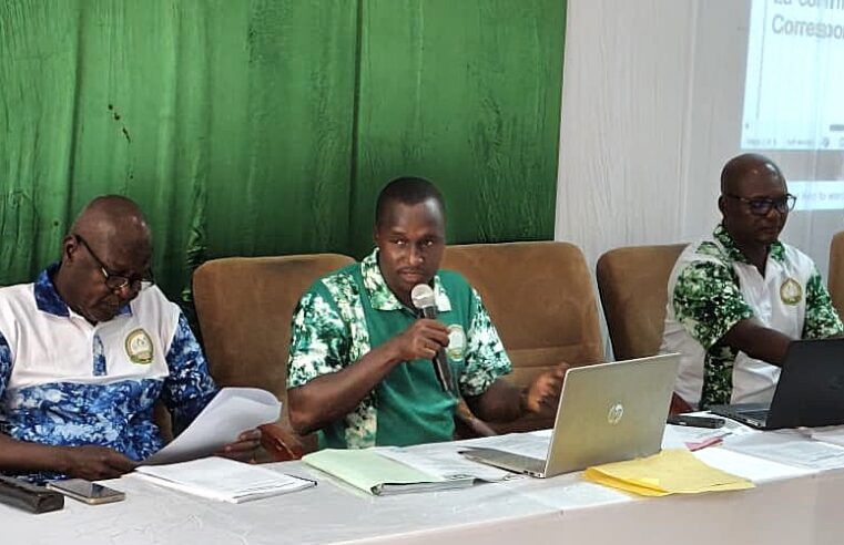 Burkina Faso pharmacists demand official status after two decades of service