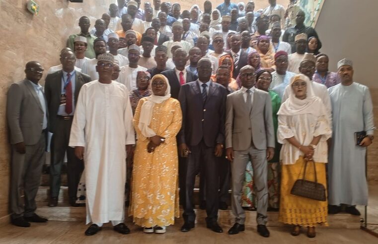 Tchad assesses two-year progress of presidential program