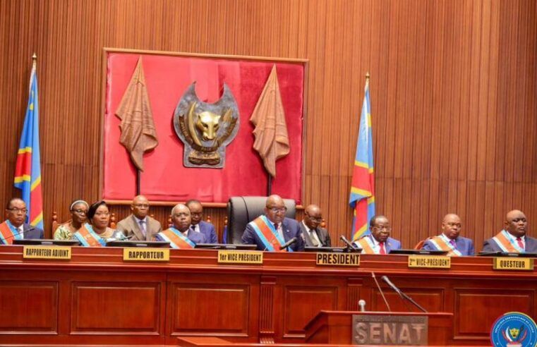 Drc senate begins second reading of referendum bill
