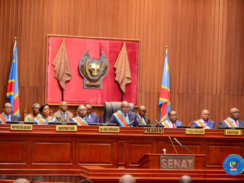 Drc senate begins second reading of referendum bill