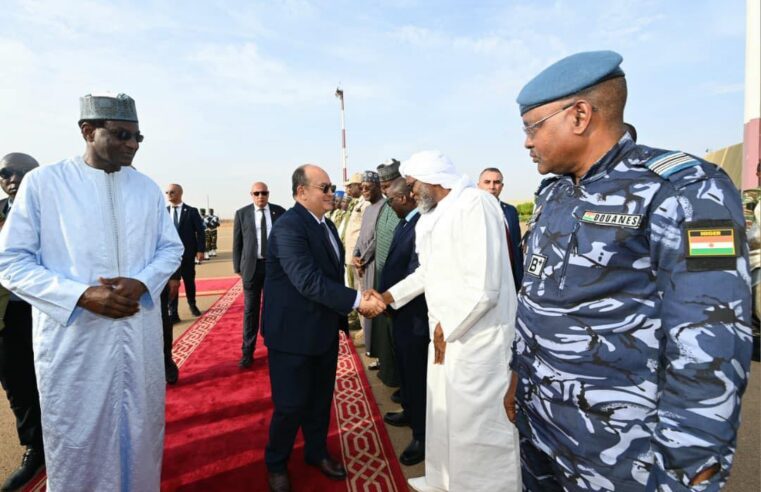 Niger prime minister launches solidarity power plant in gorou banda