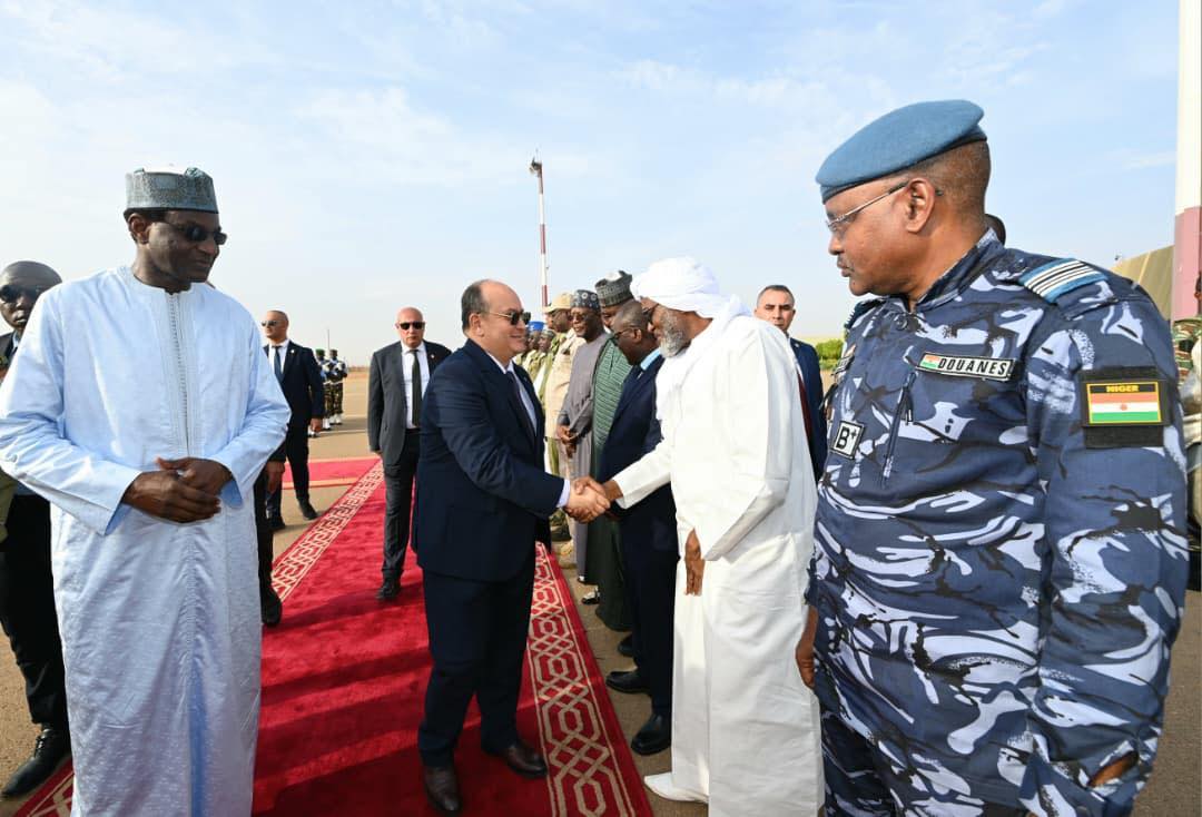 Niger prime minister launches solidarity power plant in gorou banda