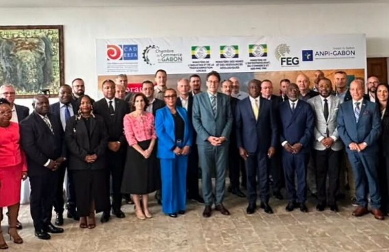 Gabon aims to pivot from raw material exports to industrial manufacturing hub