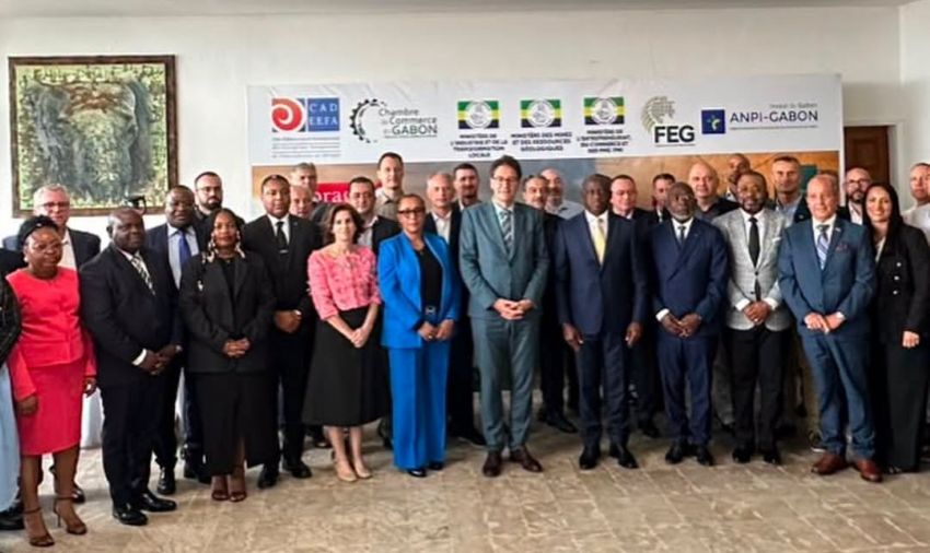 Gabon aims to pivot from raw material exports to industrial manufacturing hub