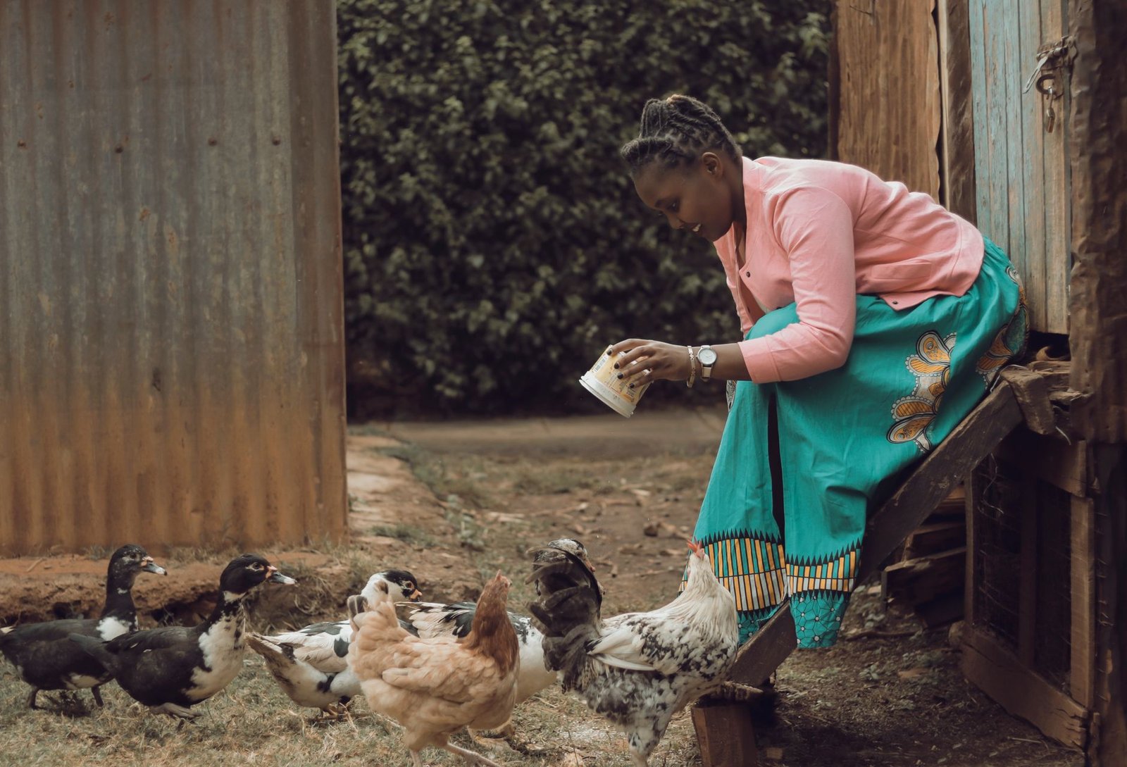 SONOCO’s ambitious plan to boost Gabon’s poultry industry