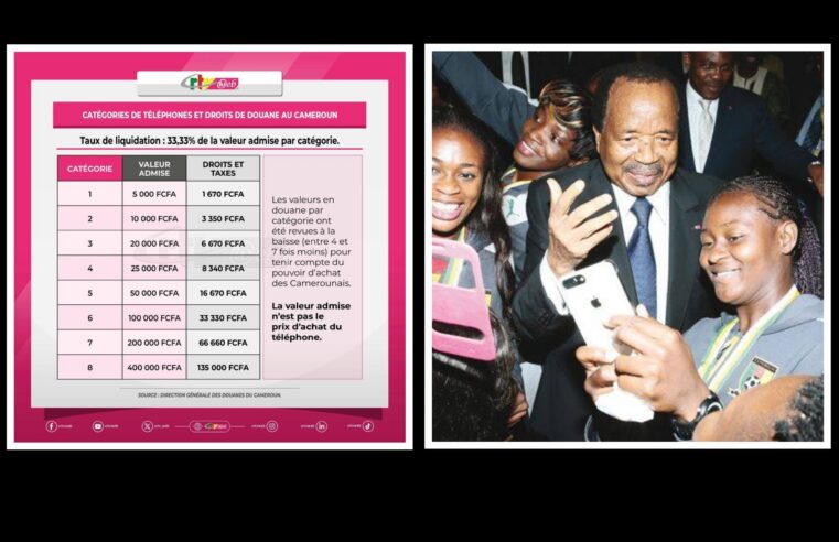 Digital taxes on phones hinder Cameroon’s tech growth