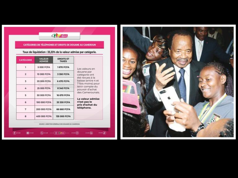 Digital taxes on phones hinder Cameroon’s tech growth