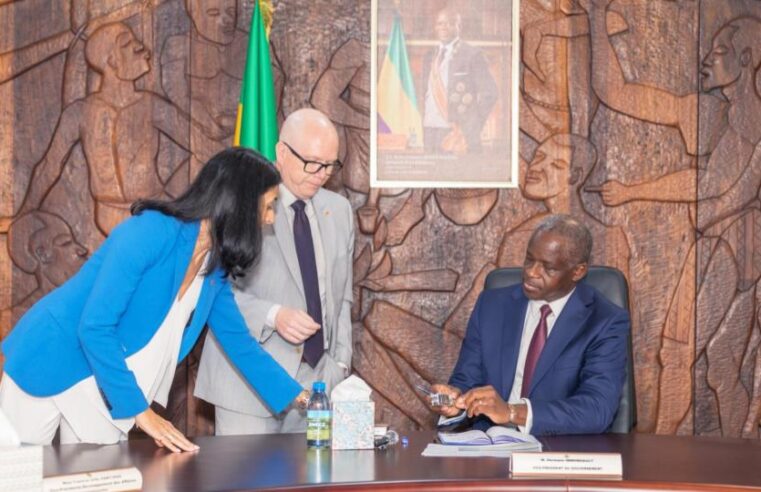 Gabon eyes high-tech tax stamps to fight fraud and boost revenue