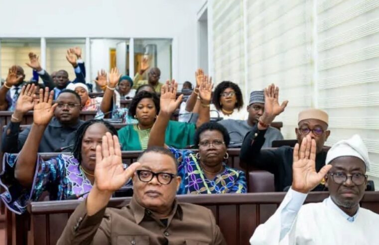 Benin parliament approves amended 2026 finance law